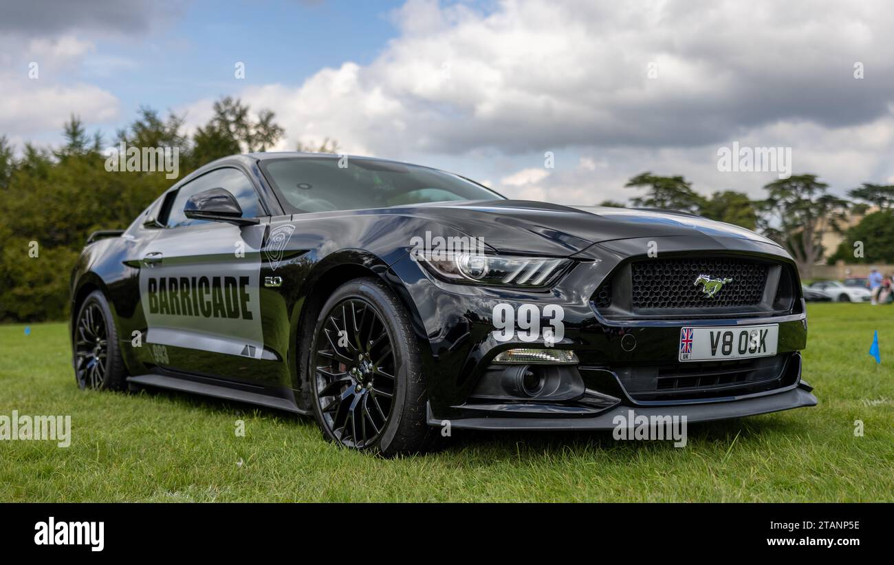 Ford Mustang GT Barricade 2016. Exposé au salon privé Concours d’Elégance qui s’est tenu au Palais de Blenheim. Banque D'Images