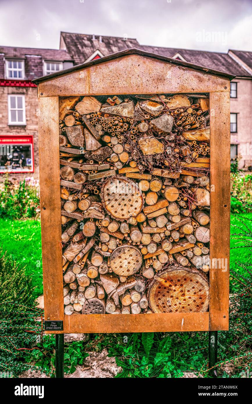 Grand homme fait l'hôtel d'insectes dans les jardins publics Banque D'Images