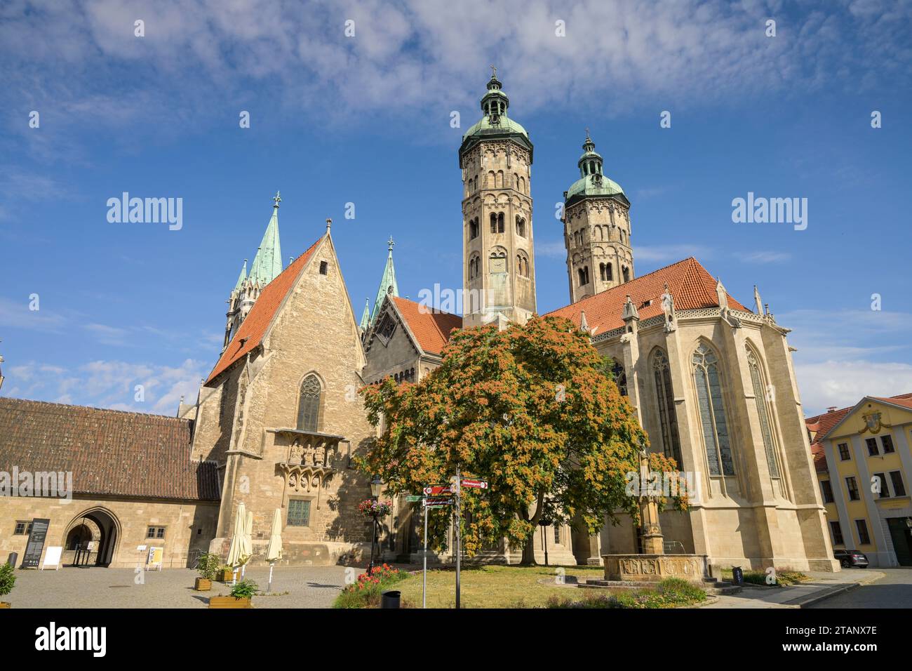 Dom St. Peter und Paul, Ostseite, Domplatz, Naumburg, Sachsen-Anhalt, Deutschland Banque D'Images