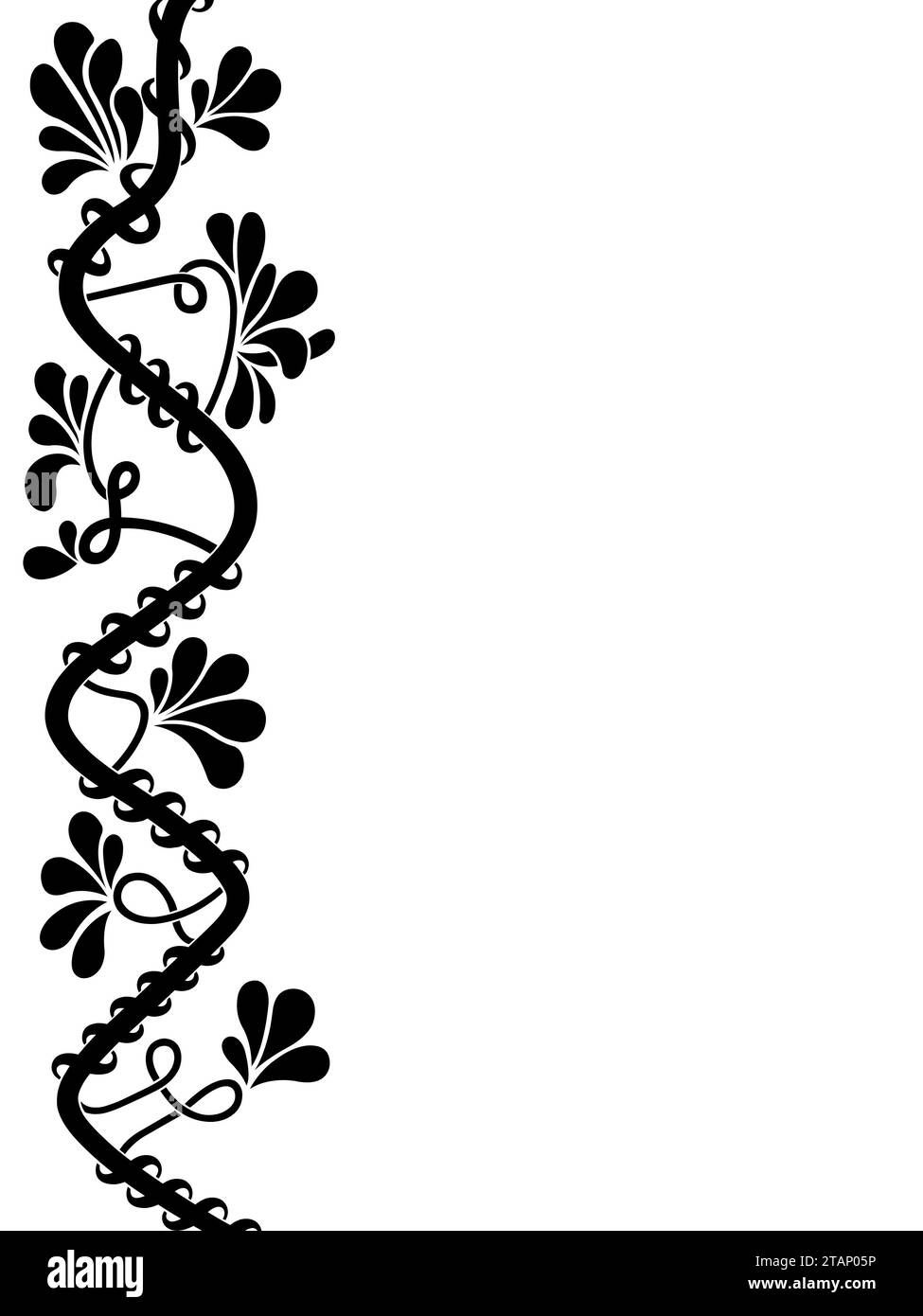 Bordure latérale ornementale avec des éléments floraux et des tourbillons isolés sur fond blanc Banque D'Images