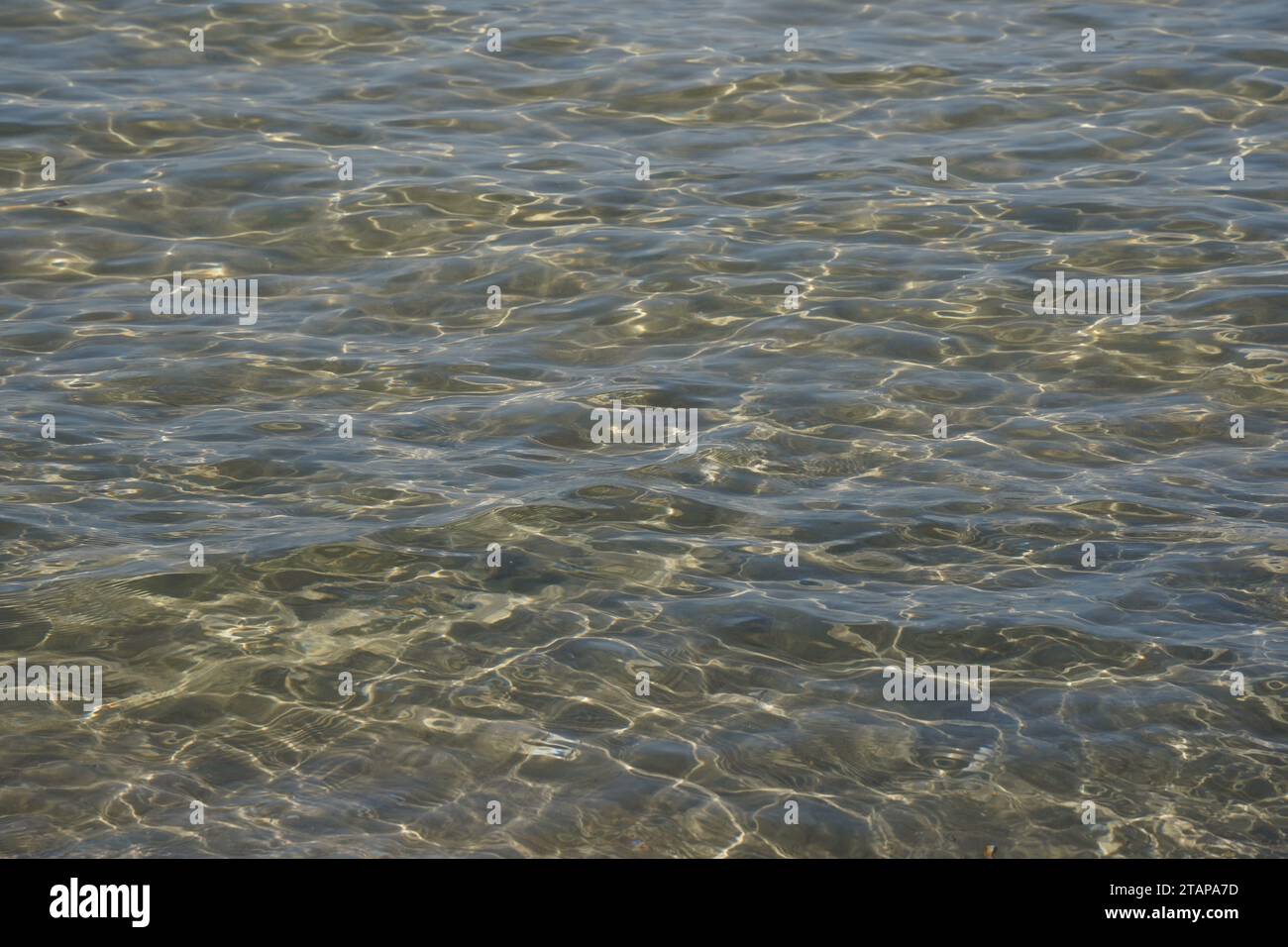 Calme sur la mer Méditerranée. Paysage marin ensoleillé. Vagues douces avec de l'eau de mer pendant la journée Banque D'Images