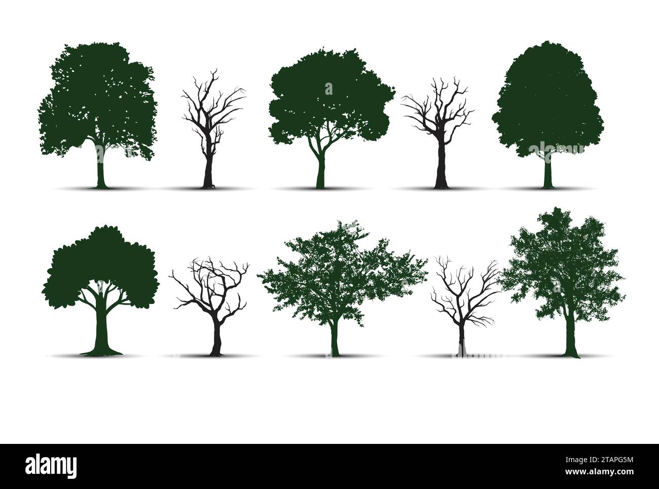 arbres vectoriels isolés sur fond blanc, les arbres vectoriels définissent le composant d'image Illustration de Vecteur