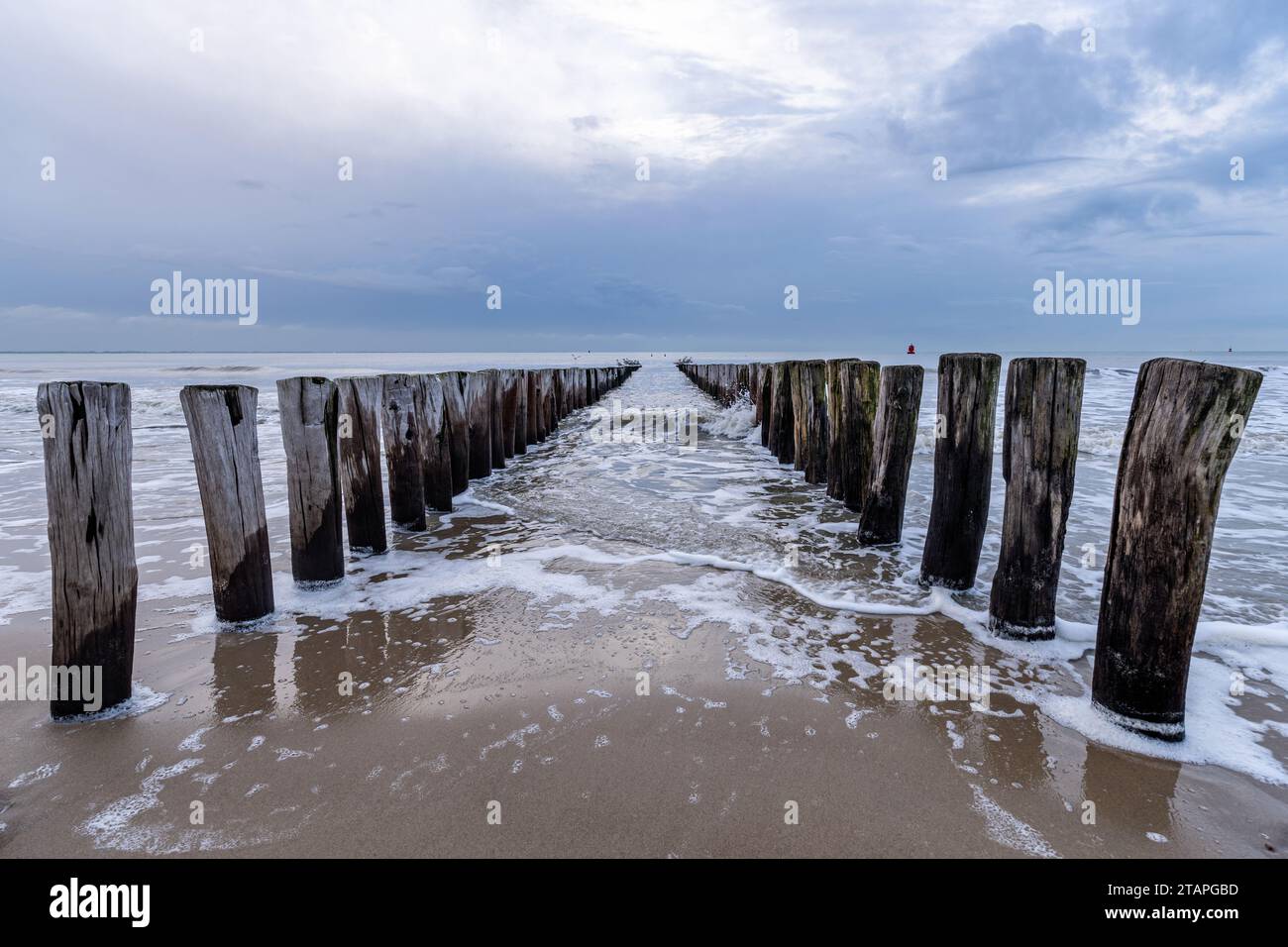 Groyne en bois sur la plage de Vlissingen, Zélande, pays-Bas Banque D'Images