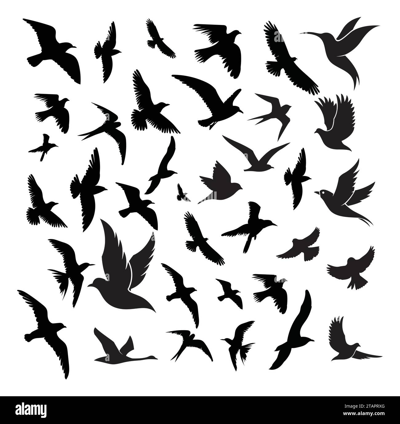 Silhouettes d'oiseaux volants sur fond blanc. Illustration vectorielle. vol d'oiseau isolé. motif tatouage. Illustration de Vecteur