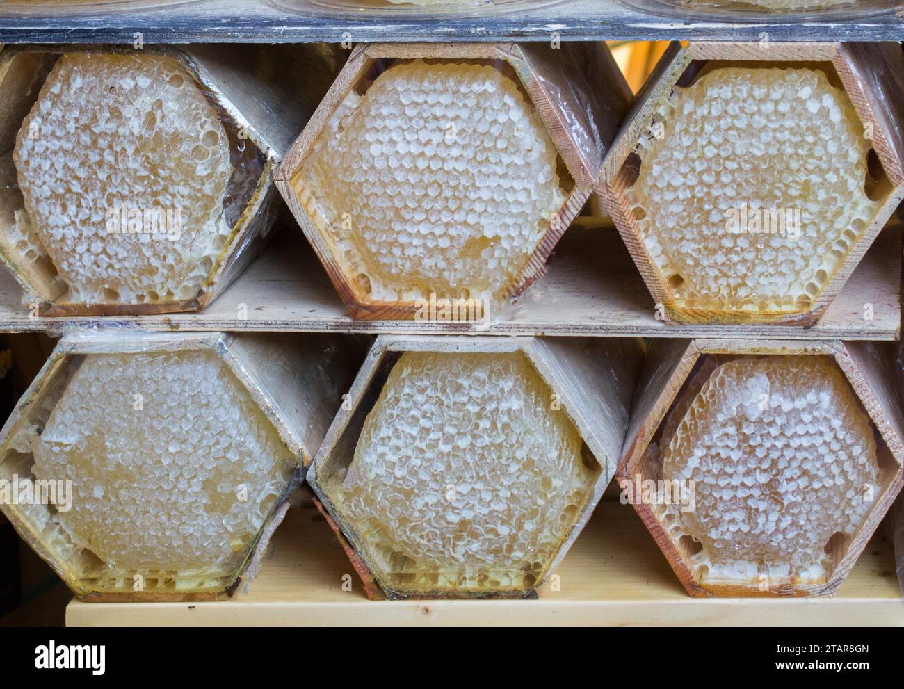 Sweet miel frais dans le cadre de peigne scellés Banque D'Images