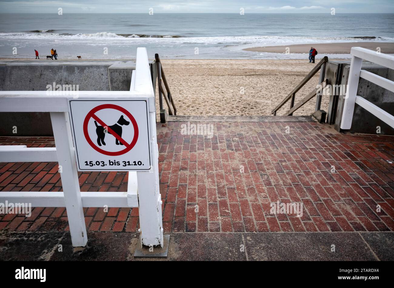 Signe, pas de chiens sur la plage, pas de plage de chiens pendant les mois d'été, promenade, Westerland, mer du Nord île de Sylt, Frise du Nord, Schleswig-Holstein Banque D'Images