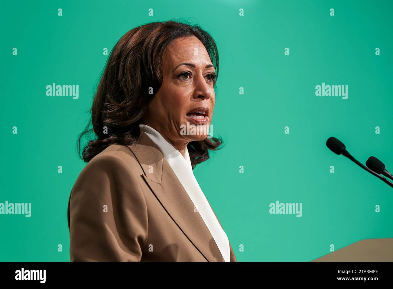 Dubaï, Émirats arabes Unis. 02 décembre 2023. La vice-présidente AMÉRICAINE Kamala Harris prend la parole lors du segment de haut niveau pour la session des chefs d’État et de gouvernement lors du sommet des Nations Unies sur le climat à Dubaï, le samedi 2 décembre 2023. Photo COP28/ ONU changement climatique/ crédit : UPI/Alamy Live News Banque D'Images