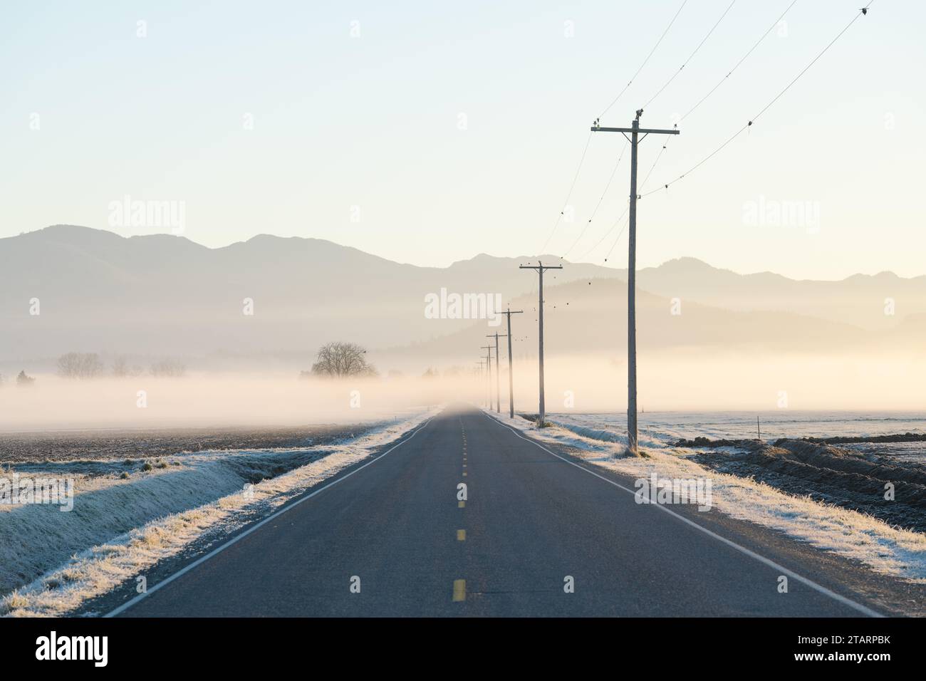 Fine couche de brouillard à travers la route de Skagit Valley au lever du soleil avec une ligne de poteaux téléphoniques et de fils Banque D'Images