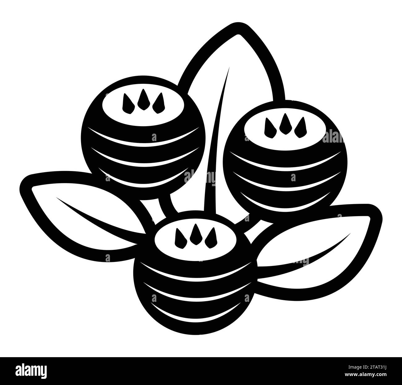 Trois baies magiques avec des feuilles, illustration vectorielle en noir et blanc Illustration de Vecteur