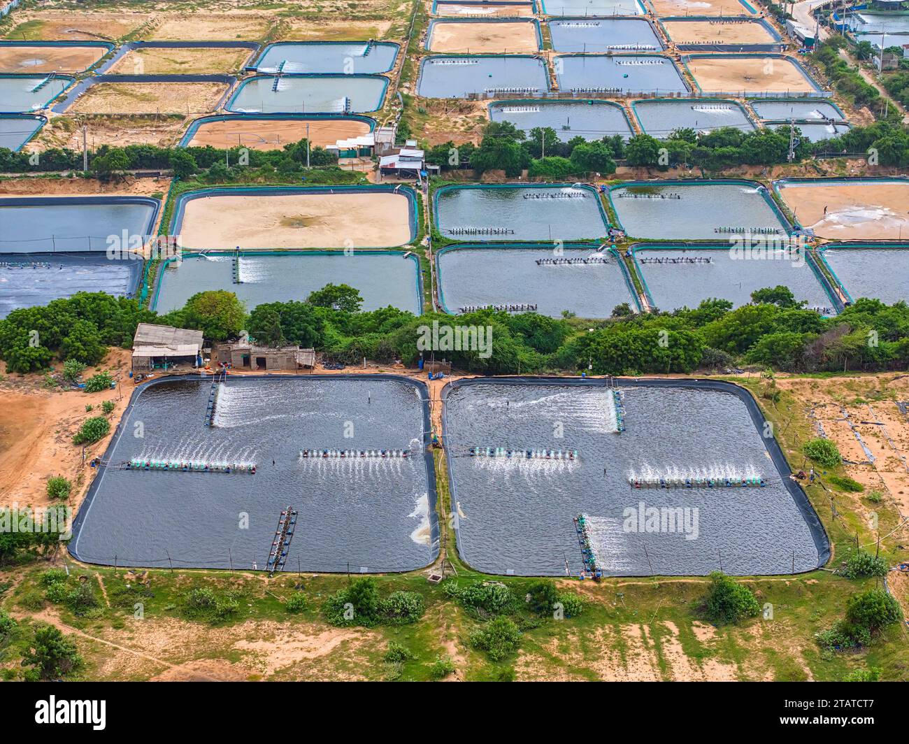 Fermes de crevettes vue aérienne dans le Ninh Thuan, Vietnam Banque D'Images