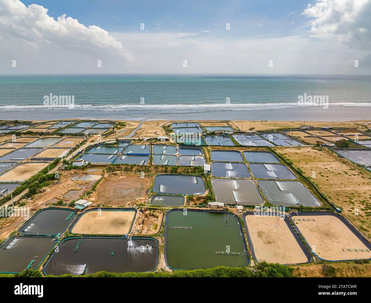Fermes de crevettes vue aérienne dans le Ninh Thuan, Vietnam Banque D'Images