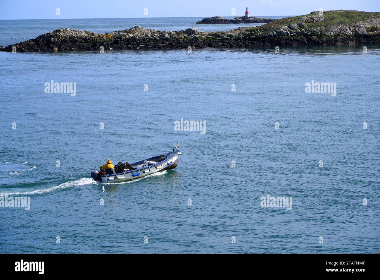 Petit bateau à moteur avec des pièges à homard, baie de Dublin Banque D'Images