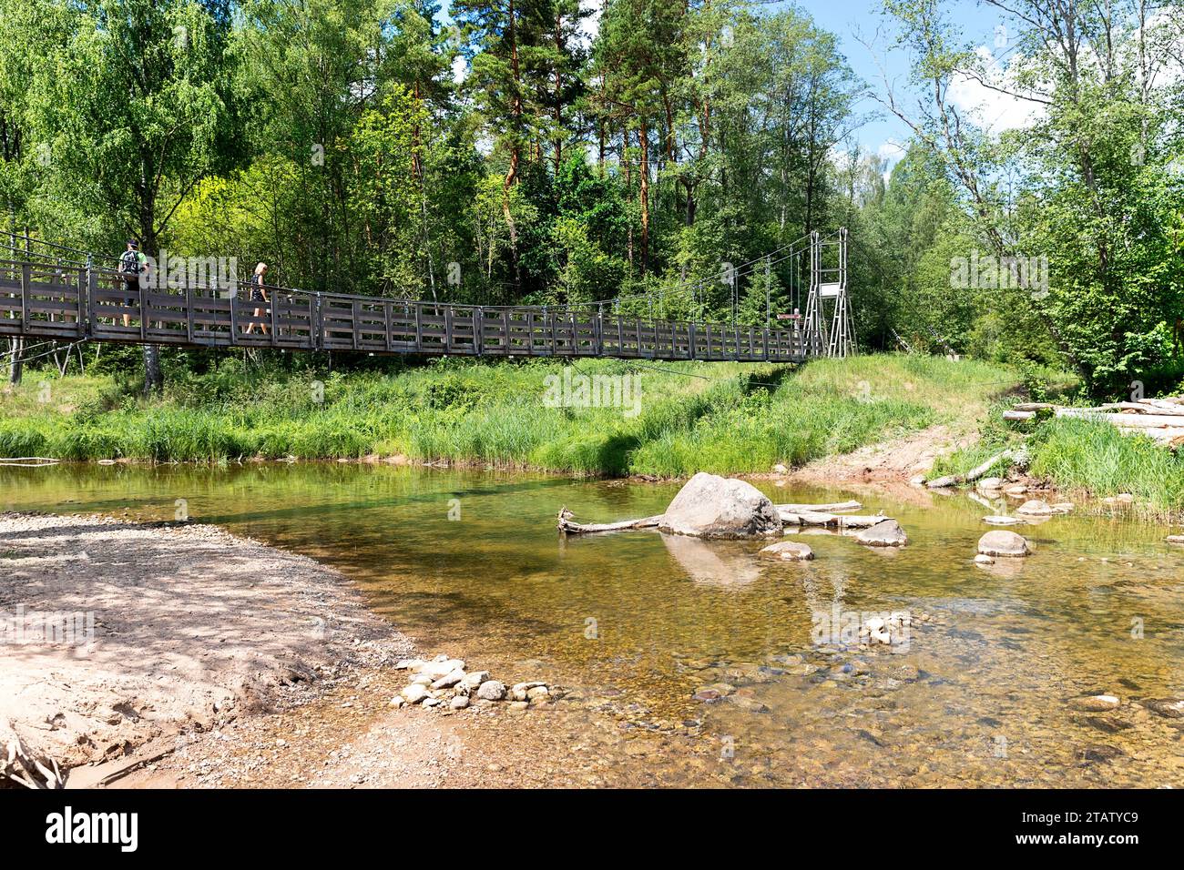 Touristes traversant le pont suspendu en bois sur la belle rivière amata près de la rivière Gauja sur une journée ensoleillée d'été, Lettonie, Europe Banque D'Images