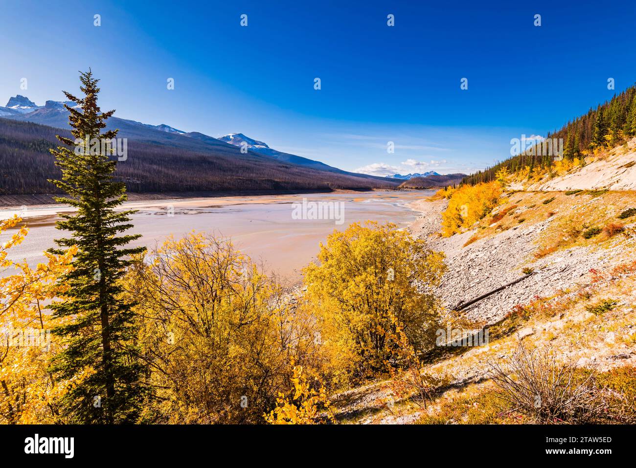 Vue sur Medicine Lake, Jasper, Alberta, Canada Banque D'Images