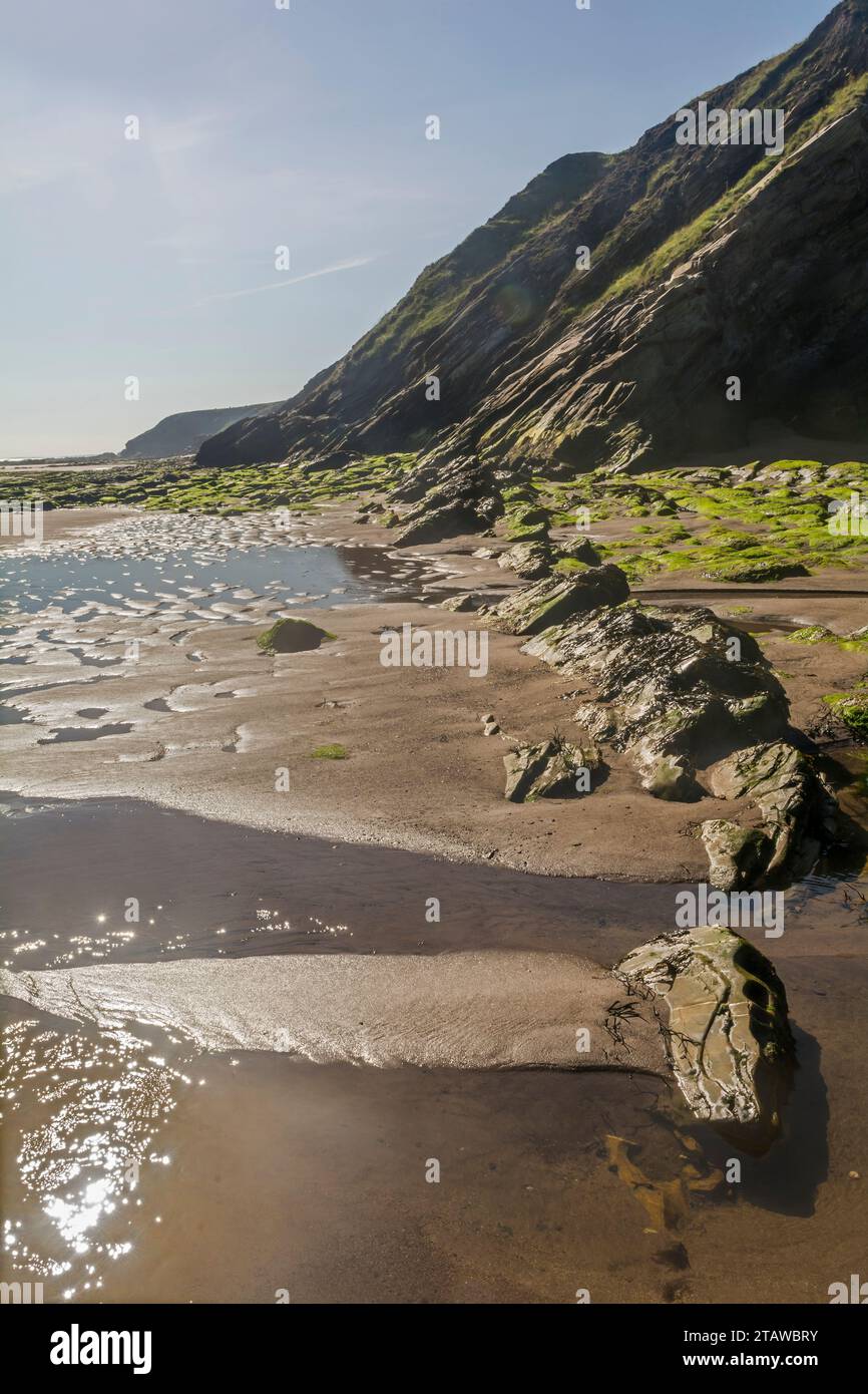 Falaise et rocksl sur la plage, Cocklawburn, Northumberland, Royaume-Uni Banque D'Images