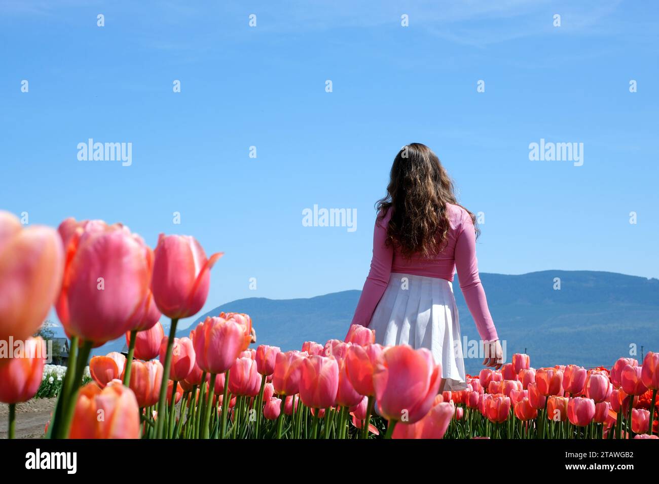 Une fille jouant dans un jardin de fleurs avec arc-en-ciel Banque D'Images