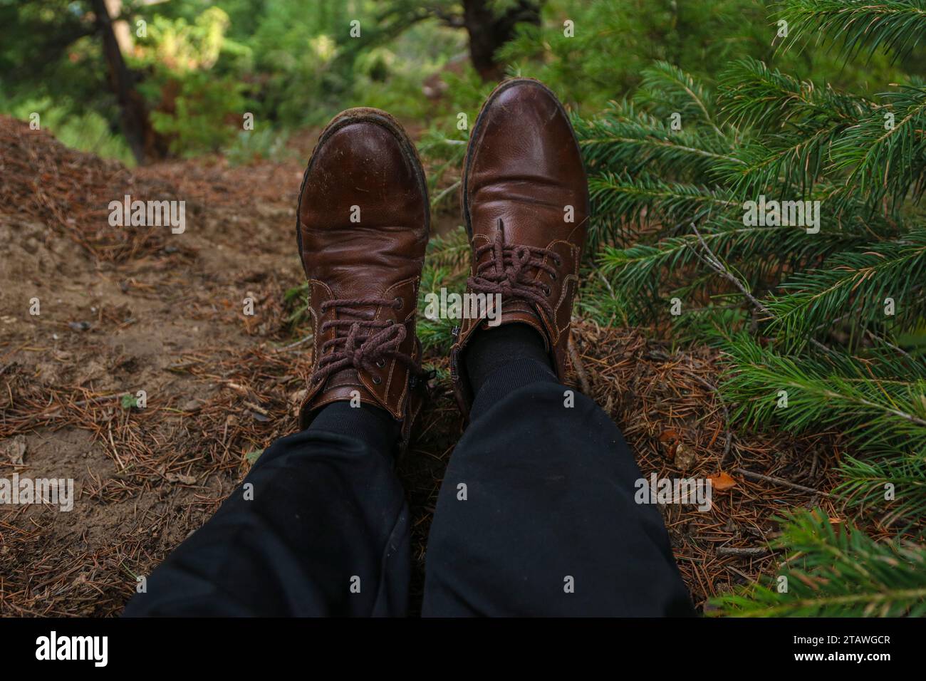 Plan de point de vue des pieds d'un randonneur dans la forêt. Banque D'Images