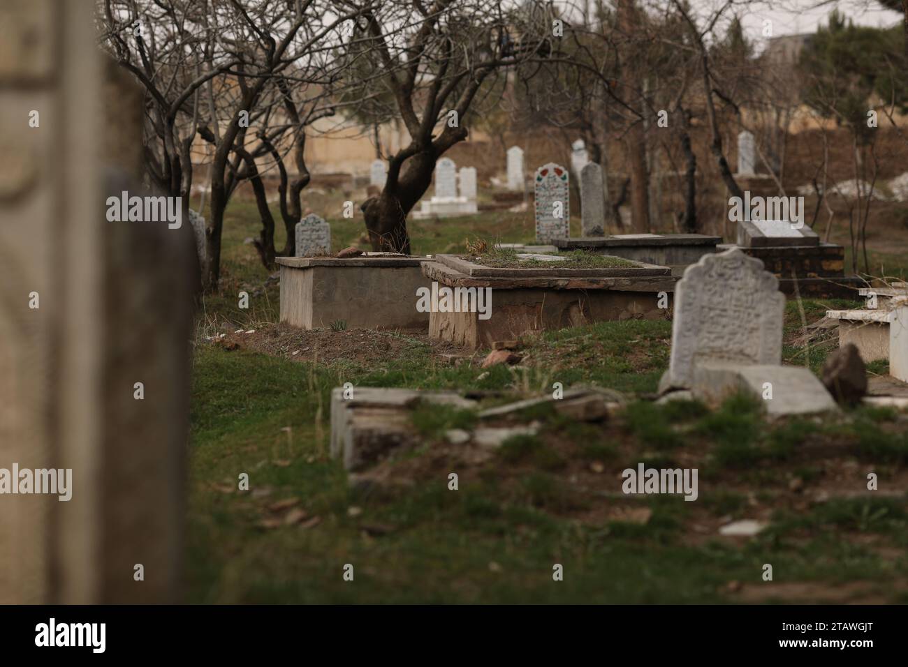 Cimetière dans un environnement verdoyant, avec une phrase arabe écrite sur la tombe photo d