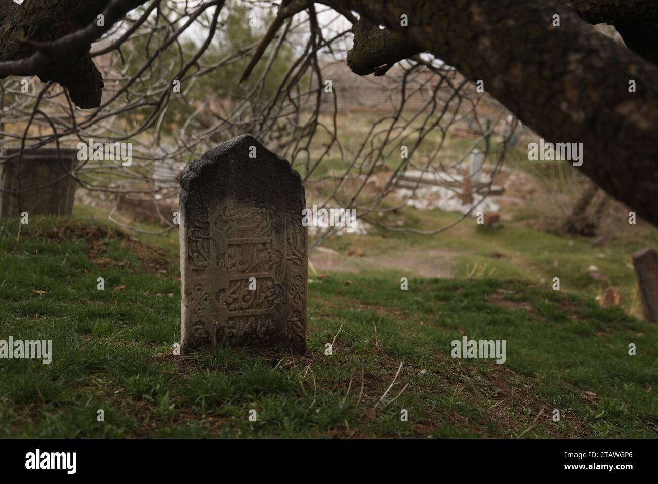 Cimetière dans un environnement verdoyant, avec une phrase arabe écrite sur la tombe photo d