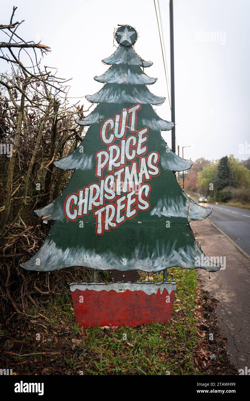 Arbres de Noël à prix réduit annoncés au bord de la route dans le nord de Londres Banque D'Images