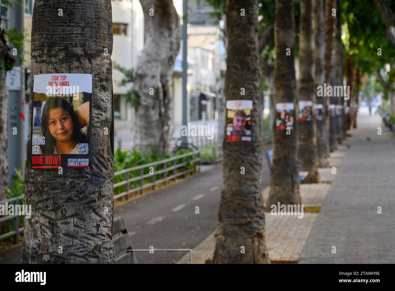 Des affiches avec des portraits de civils israéliens enlevés sont accrochées sur des arbres sur Jerusalem Boulevard, Jaffa, tel Aviv, Israël en soutien aux hommes femmes et enfants retenus en otage par le Hamas à Gaza depuis octobre 7 2023 Banque D'Images