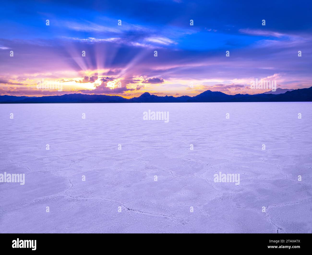 Salt Flats, Utah États-Unis Banque D'Images