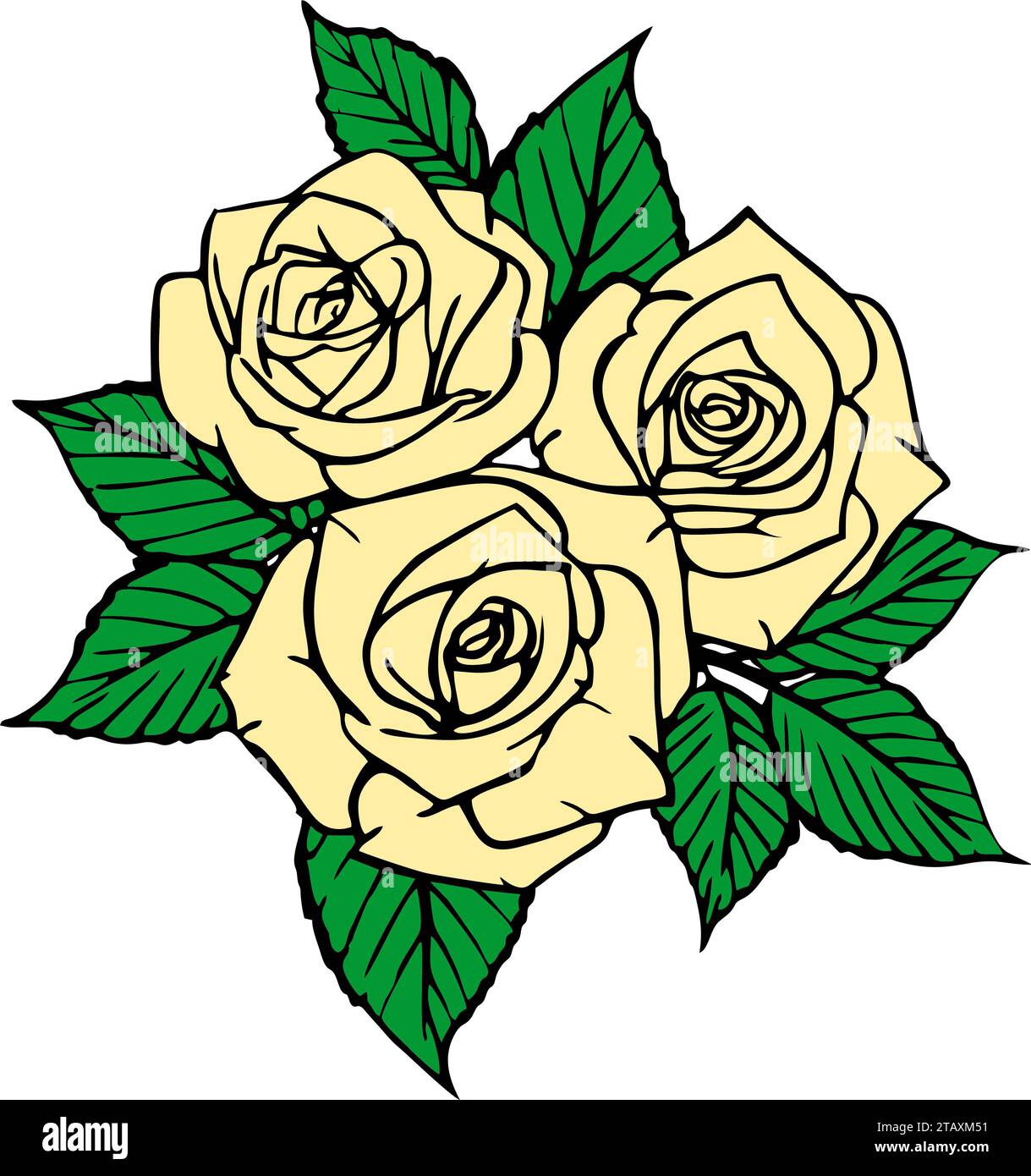 dessin de couleur d'un bouquet de trois roses roses roses avec un contour noir sur fond blanc, logo, décor Banque D'Images