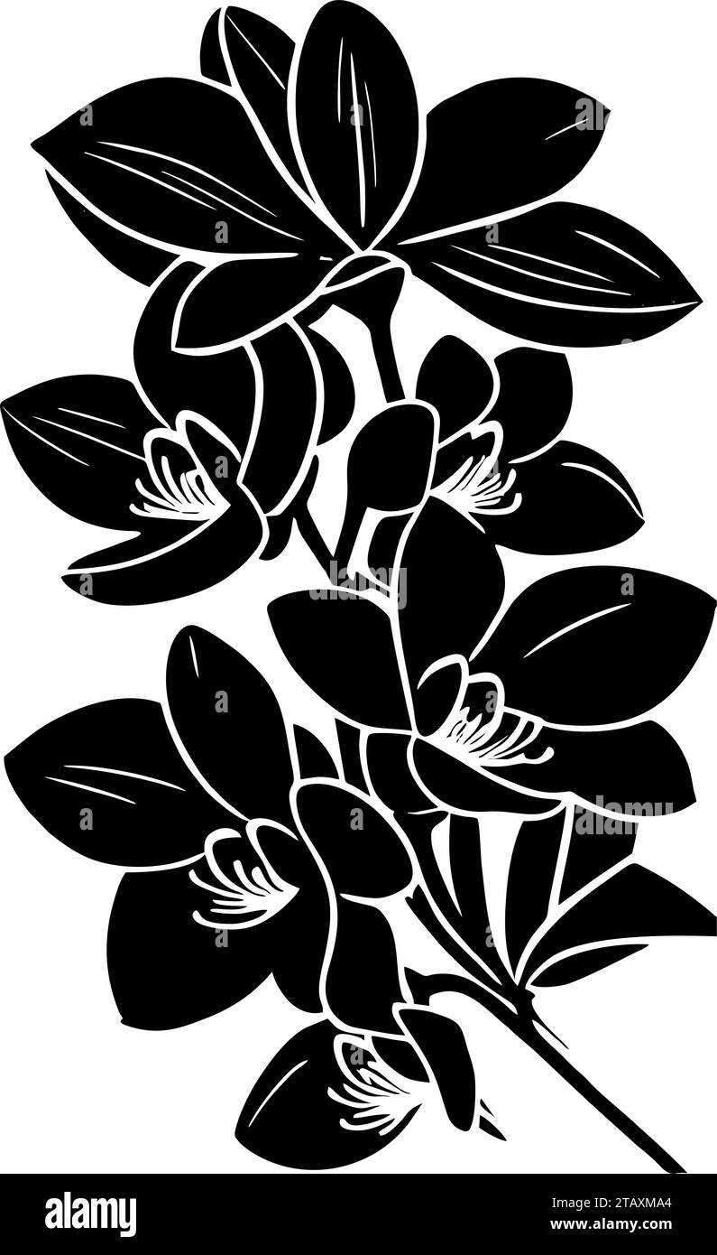 silhouette simple de dessin de contour noir de fleur d'orchidée, conception Banque D'Images