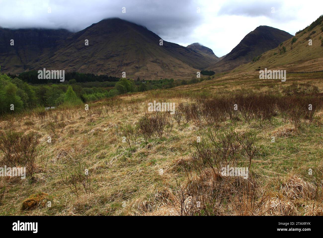 La vallée de Glen COE dans la région des Highlands sous un ciel laiteux et avec un fond brumeux (Lochaber Geopark, Ecosse) Banque D'Images