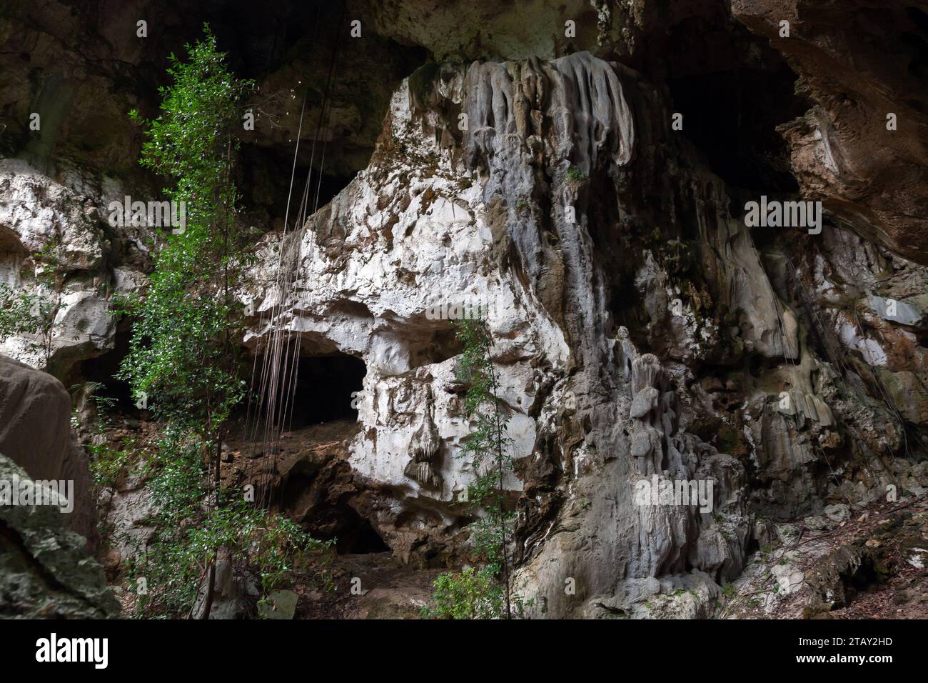 Vue d'une grotte dans le parc national Los Haitises. Golfe de Samana, République dominicaine Banque D'Images