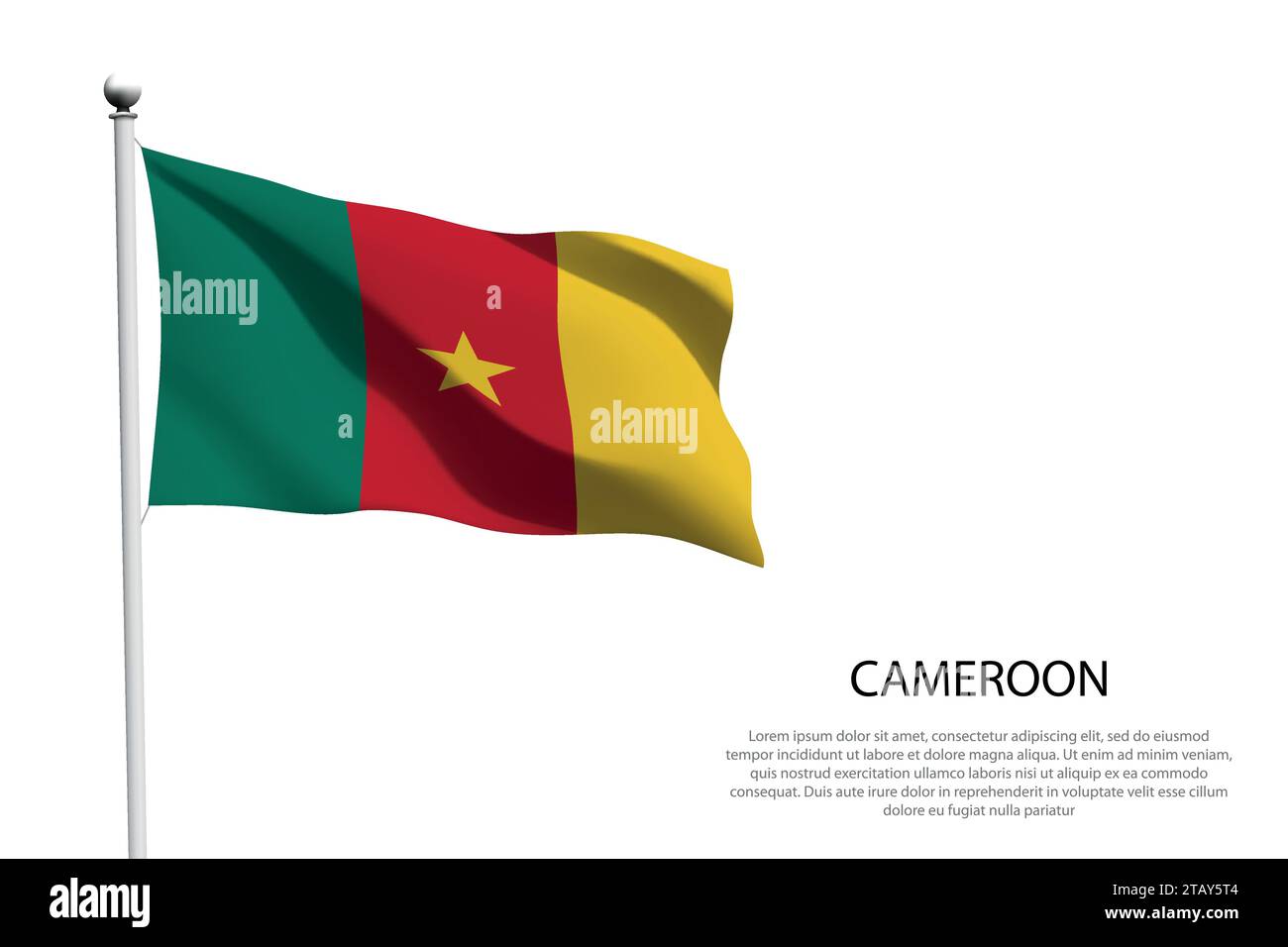 Agitant Le Drapeau Du Cameroun Sur Fond Blanc.