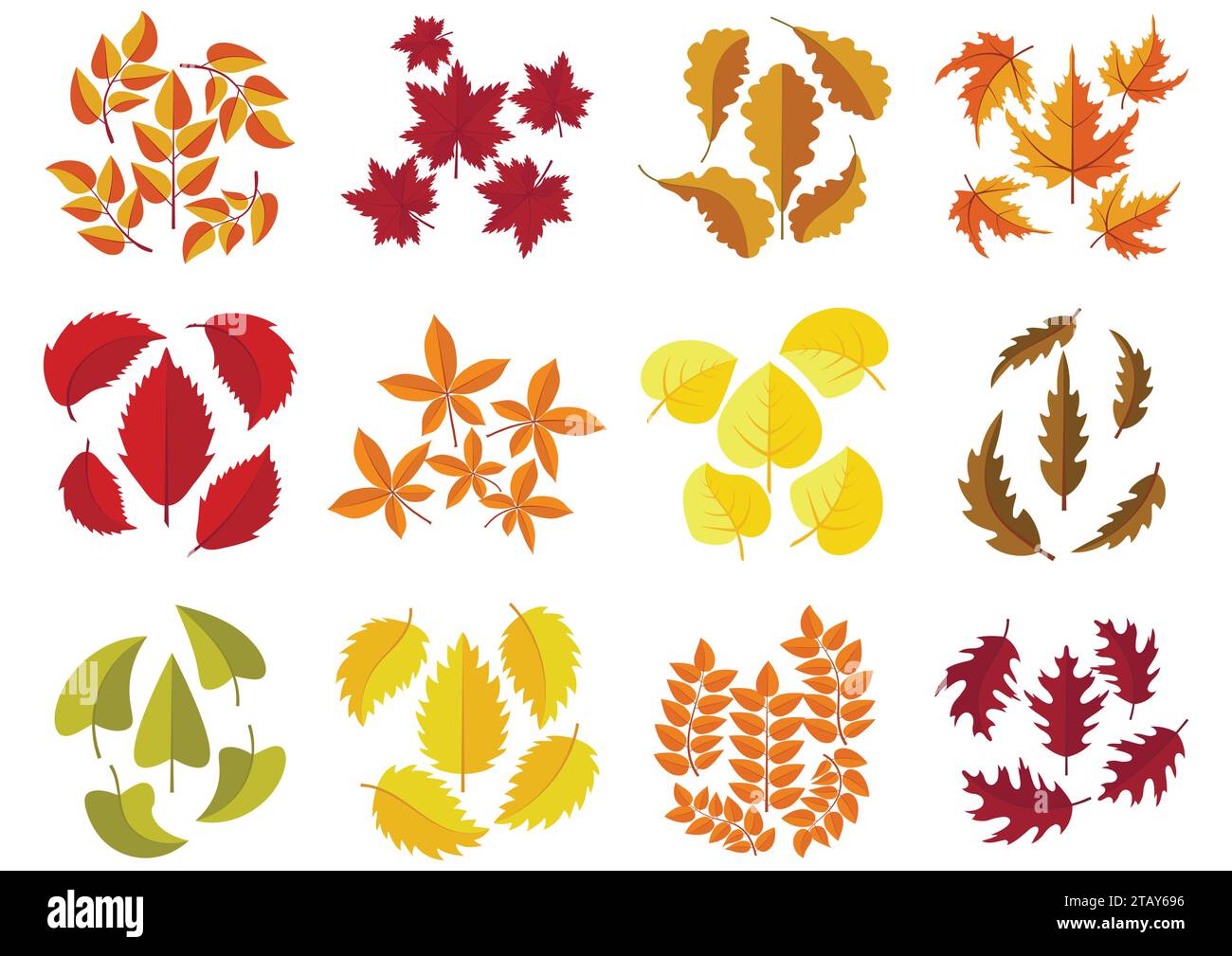 Ensemble de feuilles d'automne colorées isolées sur fond blanc. Collection de feuilles d'automne tombées vertes, rouges et oranges dans un style plat. Illustration vectorielle Illustration de Vecteur