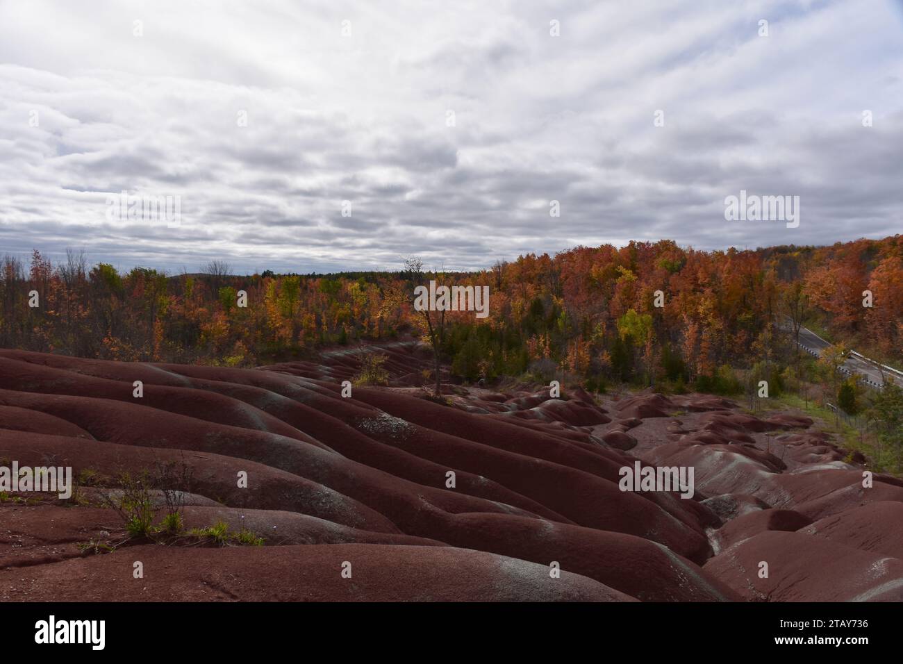 Les collines rouges en érosion marquent les Cheltenham Badlands, une excursion populaire d'une journée près de Toronto, au Canada. Banque D'Images