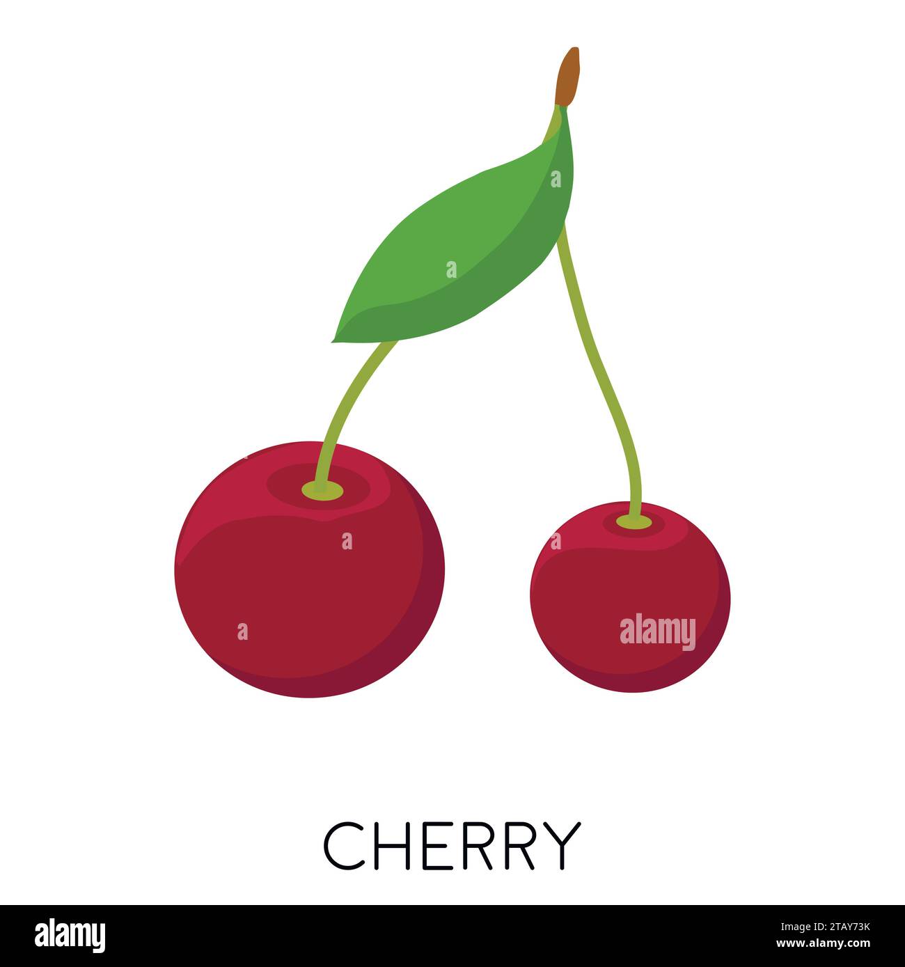 Icône plate de baie de cerise isolée sur fond blanc. Fruits sains. Baies avec tiges et feuilles vertes. ECO délicieux plats. Illustration vectorielle Illustration de Vecteur