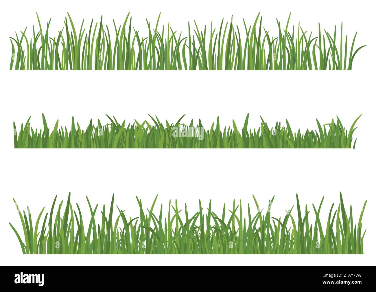 Herbe verte isolée sur fond blanc. Ensemble de hauteurs d'herbe éléments de conception de la nature. Illustration vectorielle de pelouse Illustration de Vecteur