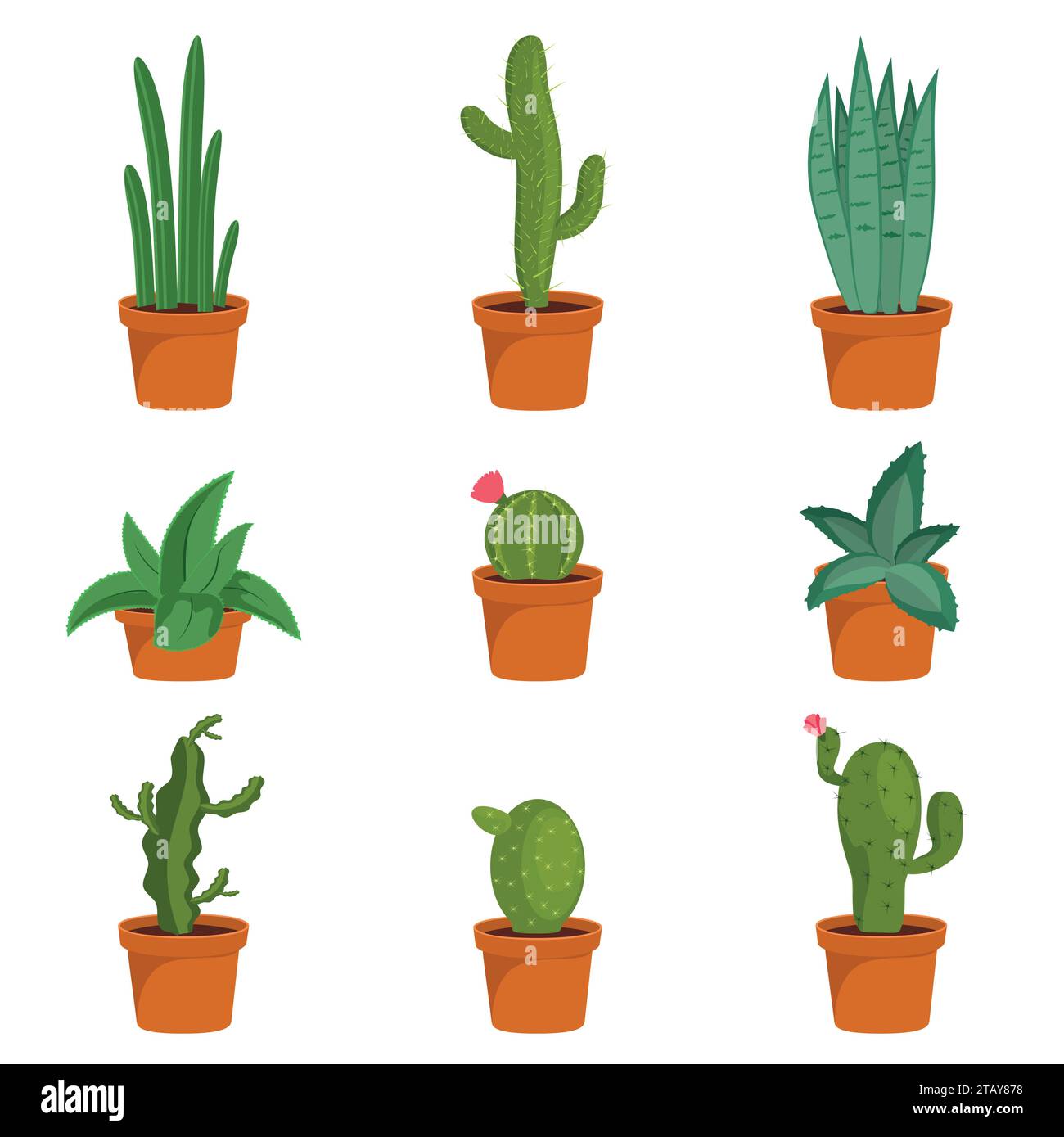 Ensemble de plantes d'intérieur de cactus dans des pots de fleurs. Icônes de cactus dans un style plat sur un fond blanc. Plantes succulentes. Illustration vectorielle Illustration de Vecteur Ensemble de plantes d'intérieur de cactus dans des pots de fleurs. Icônes de cactus dans un style plat sur un fond blanc. Plantes succulentes. Illustration vectorielle Illustration de Vecteur