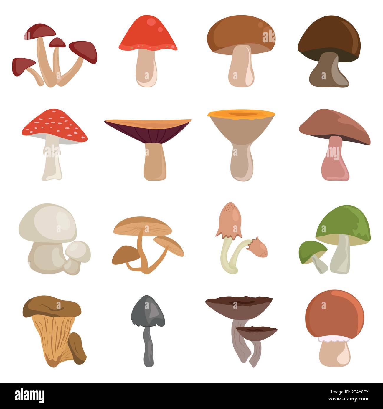 Illustration vectorielle de champignons ensemble isolé sur fond blanc. Différents types d'icônes de champignons de dessin animé comestibles et non comestibles. Illustration de Vecteur