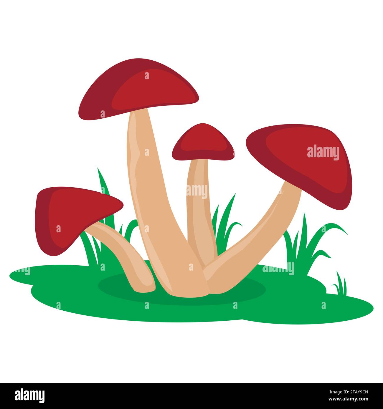 Champignons sur l'icône de vecteur de dessin animé d'herbe isolé sur fond blanc. Champignon comestible ou non comestible. Illustration de Vecteur