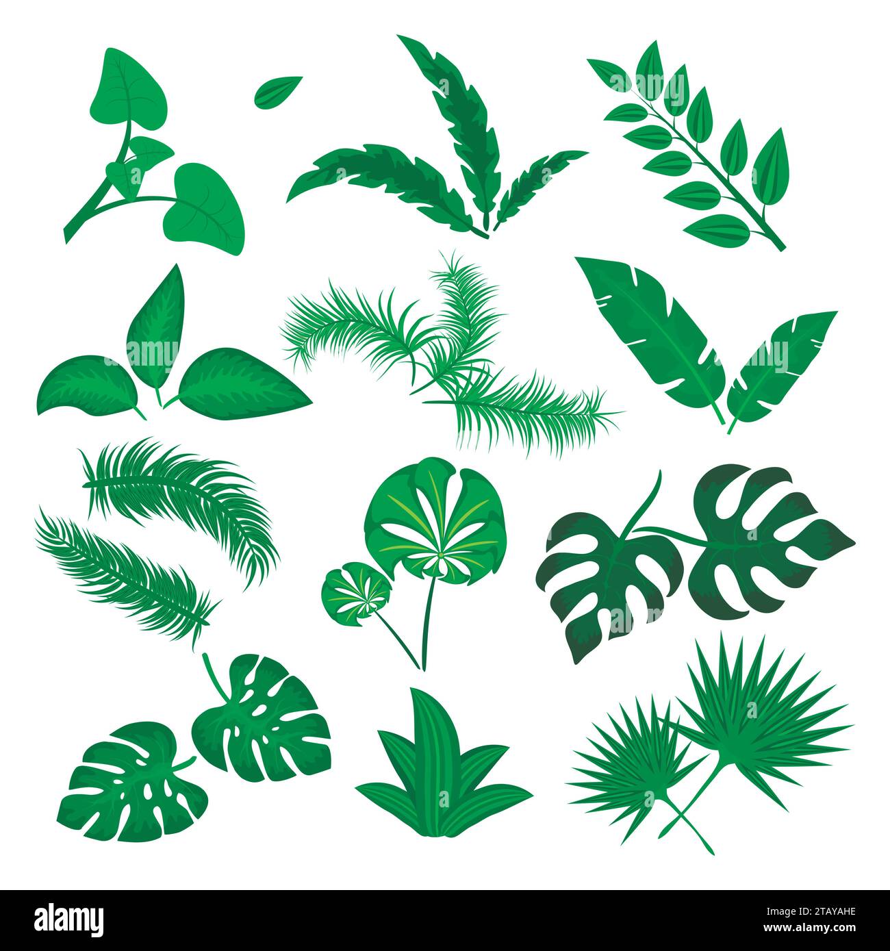 Vecteur de feuilles tropicales ensemble isolé sur fond blanc. Collection de feuilles vertes différente. Flore de forêt de jungle. Banane et feuilles de palmier exotiques dans un appartement Illustration de Vecteur Vecteur de feuilles tropicales ensemble isolé sur fond blanc. Collection de feuilles vertes différente. Flore de forêt de jungle. Banane et feuilles de palmier exotiques dans un appartement Illustration de Vecteur