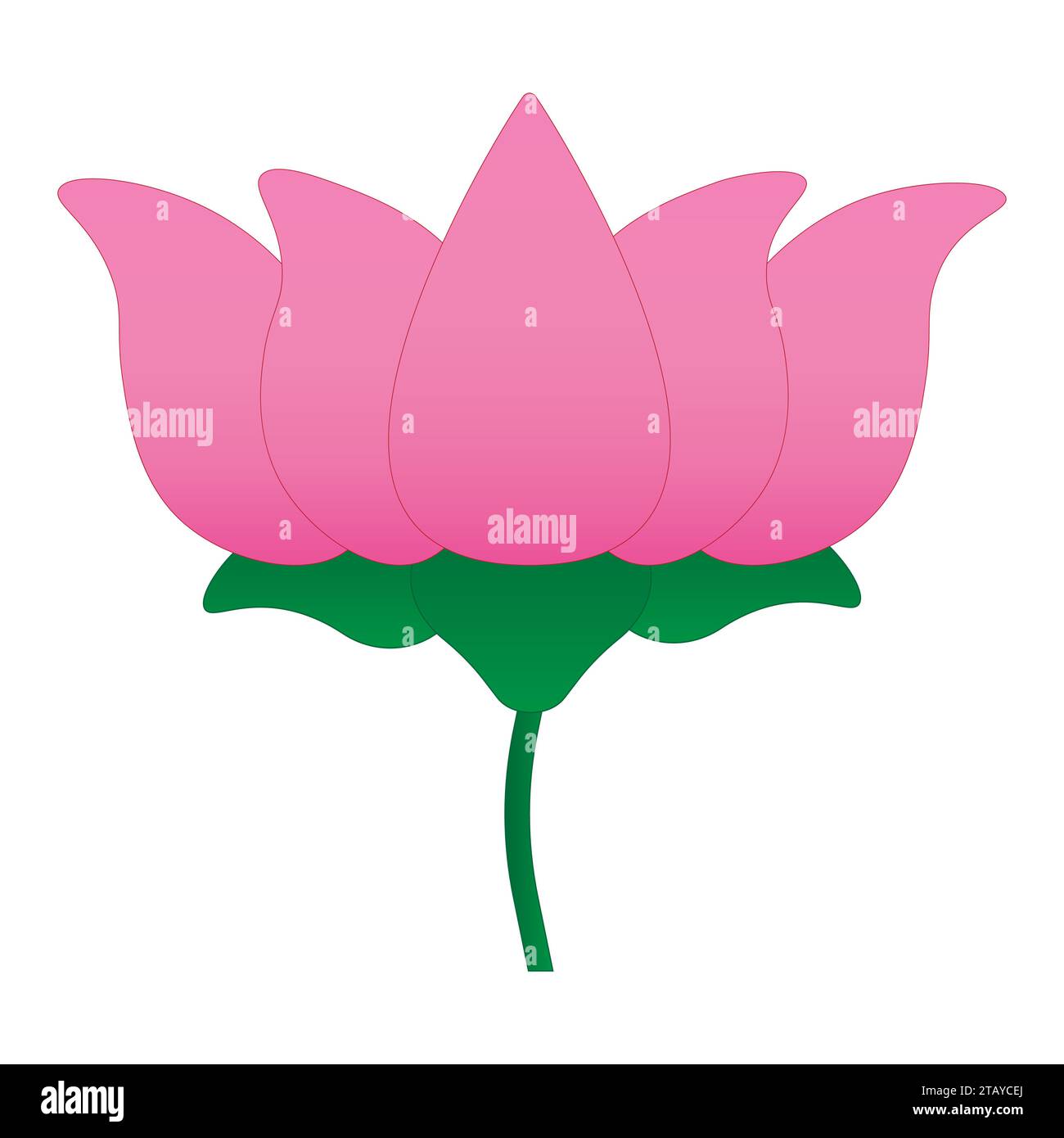 Fleur de Lotus isolé sur fond blanc Illustration de Vecteur