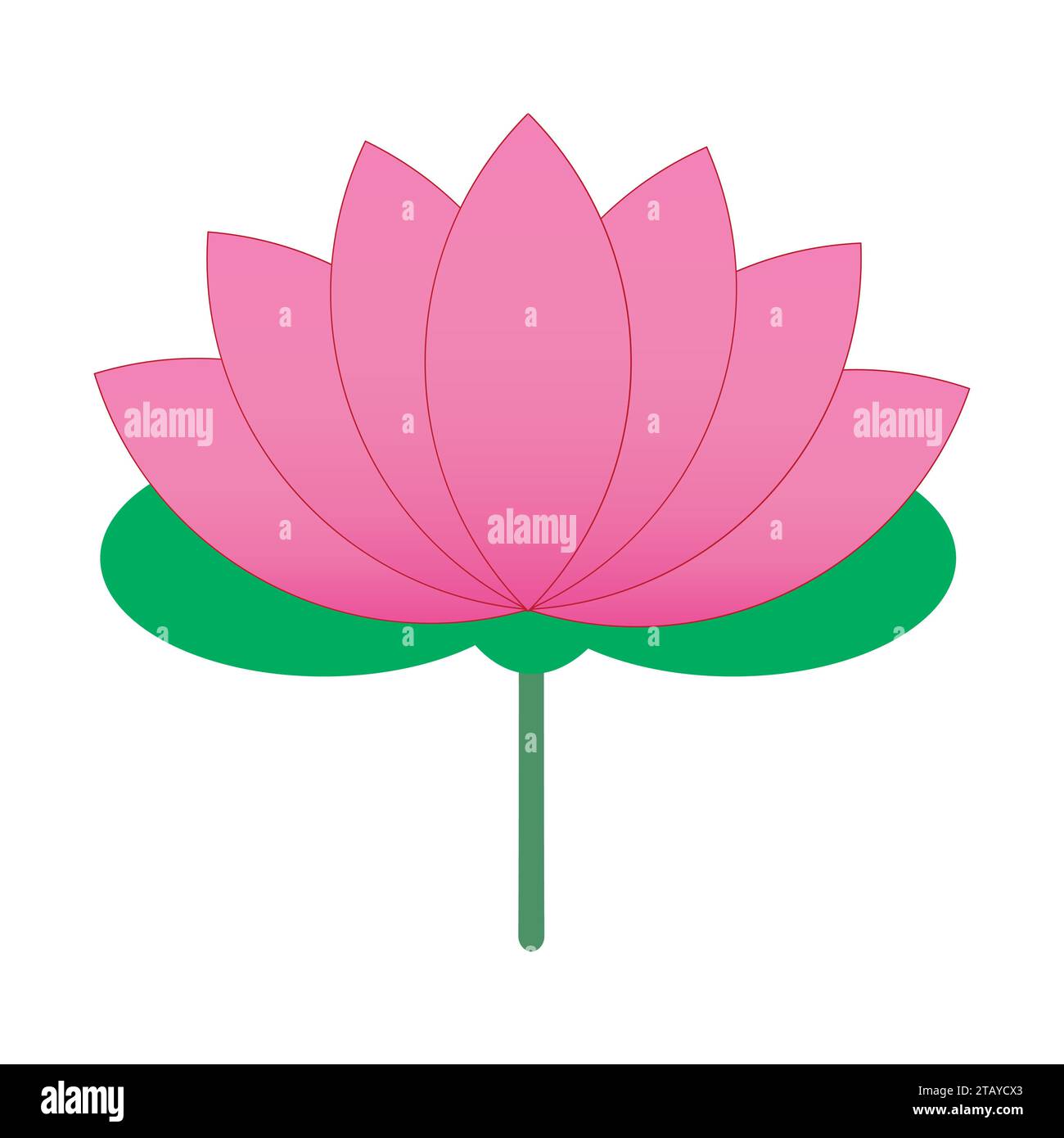 Fleur de Lotus isolé sur fond blanc Illustration de Vecteur