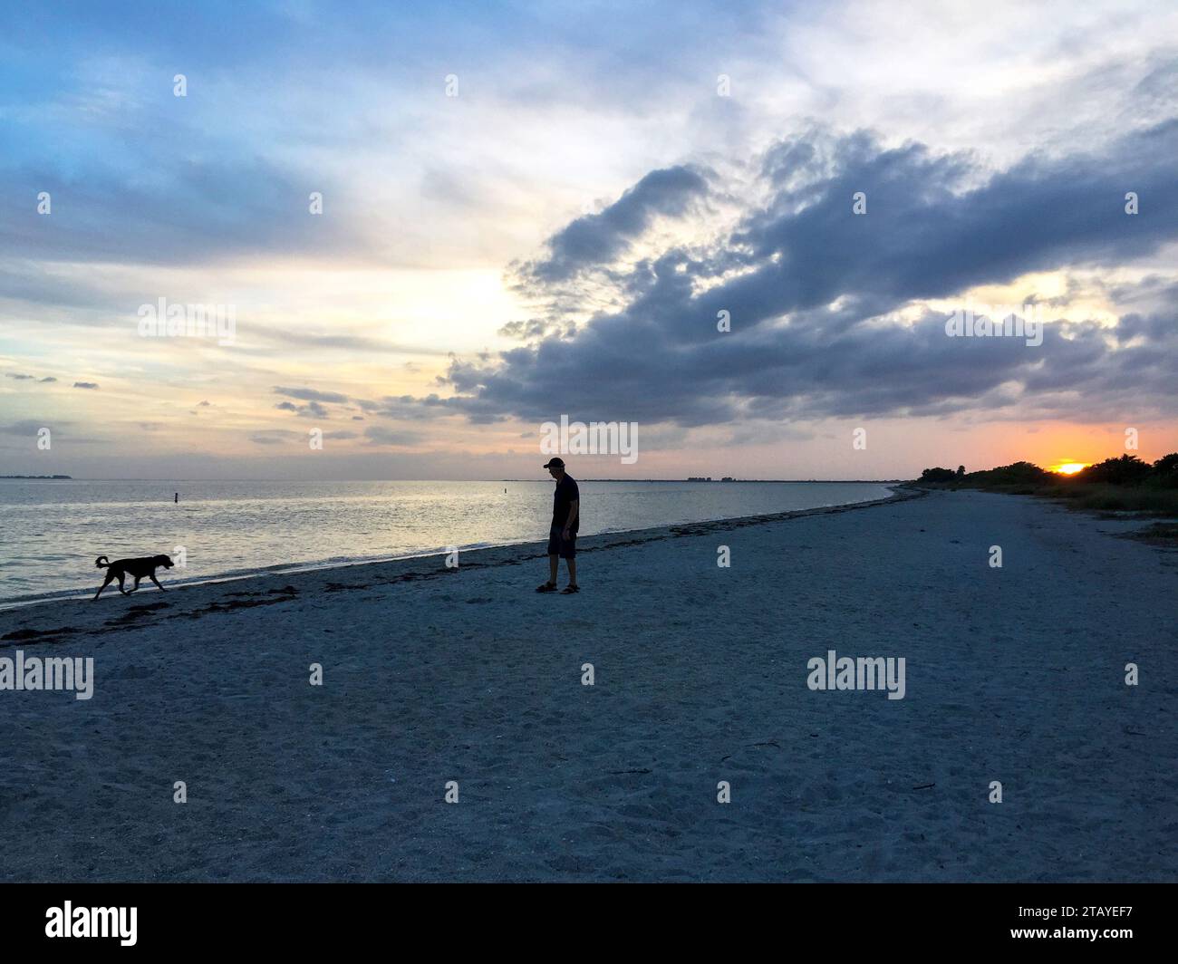 Un homme âgé court son chien sur la plage au coucher du soleil. Concept de voyage en solo, solitude et isolement. Banque D'Images