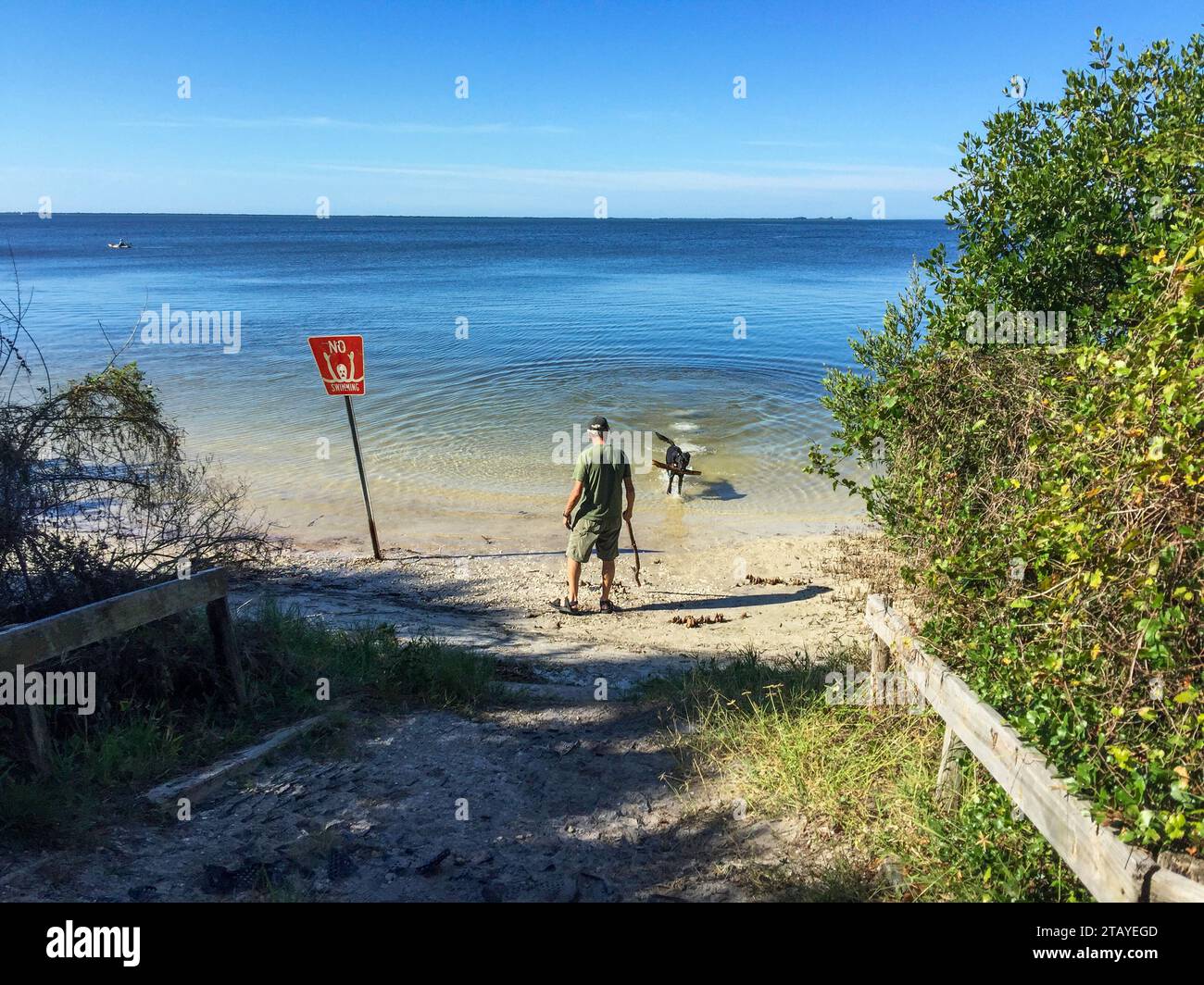 Un jeune labo noir garde son homme senior actif en forme occupé à la plage tout en jouant à Fetch. Banque D'Images