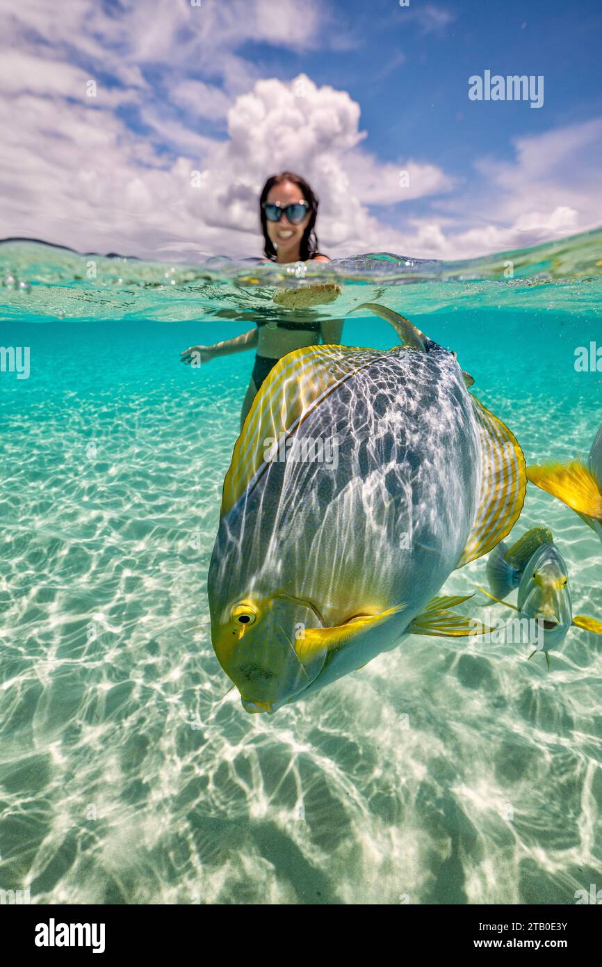Dimanche dans le lagon de Mayotte Océan Indien Banque D'Images