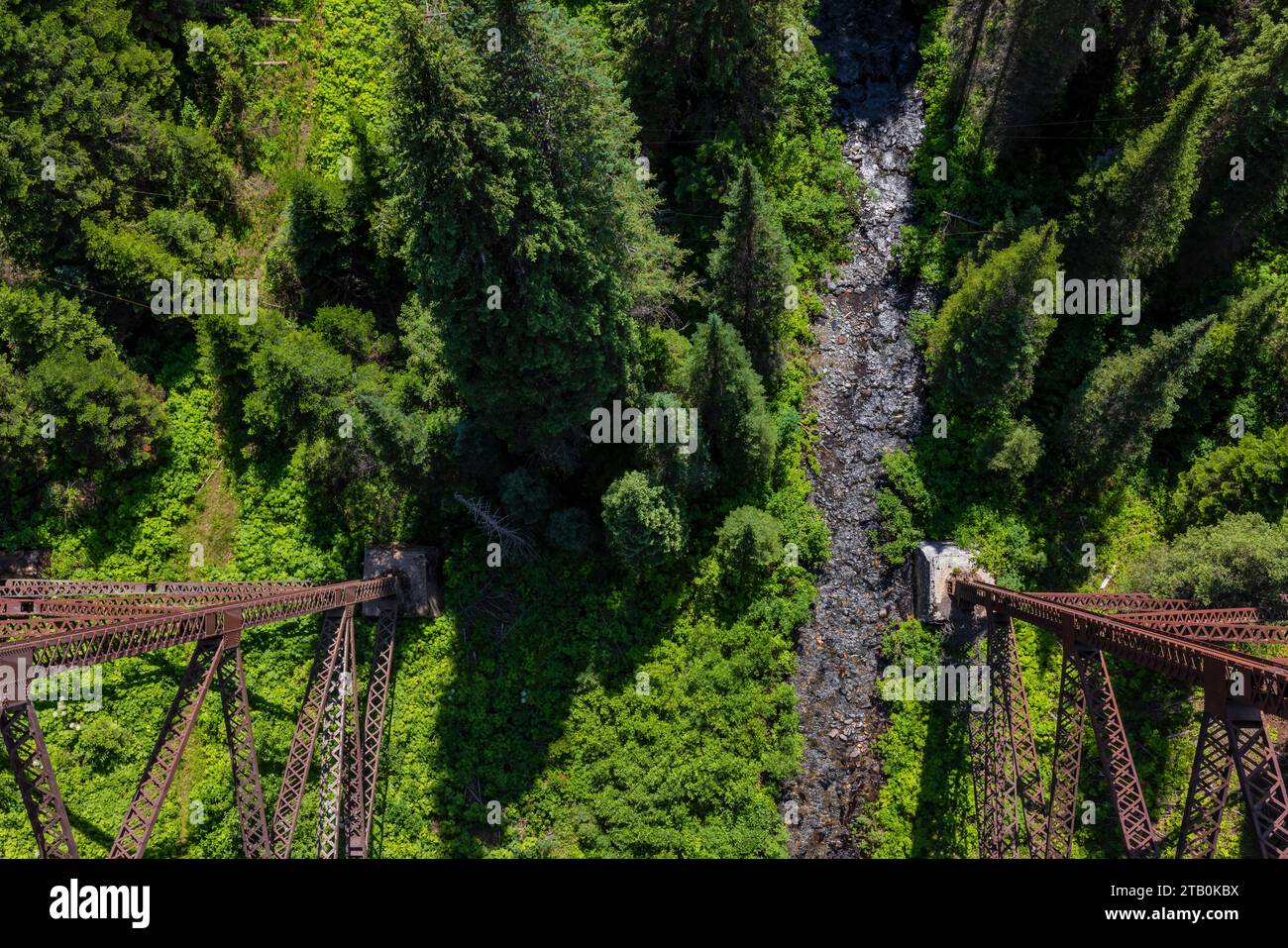 Vue depuis Bear Creek Trestle le long de la route Milwaukee Road, maintenant sur Hiawatha Scenic Bike Trail, Montana et Idaho, États-Unis Banque D'Images