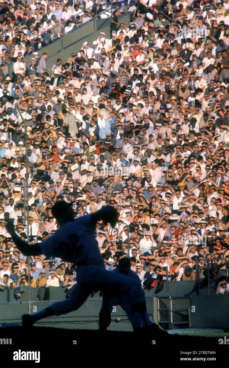 LOS ANGELES, CA - 7 JUILLET : le lanceur Sandy Koufax #32 des Los Angeles Dodgers se prépare à lancer le terrain alors que la foule regarde lors d'un match MLB contre les Cincinnati Reds le 7 juillet 1961 au Los Angeles Memorial Coliseum à Los Angeles, Californie. (Photo de Hy Peskin) *** Légende locale *** Sandy Koufax Banque D'Images