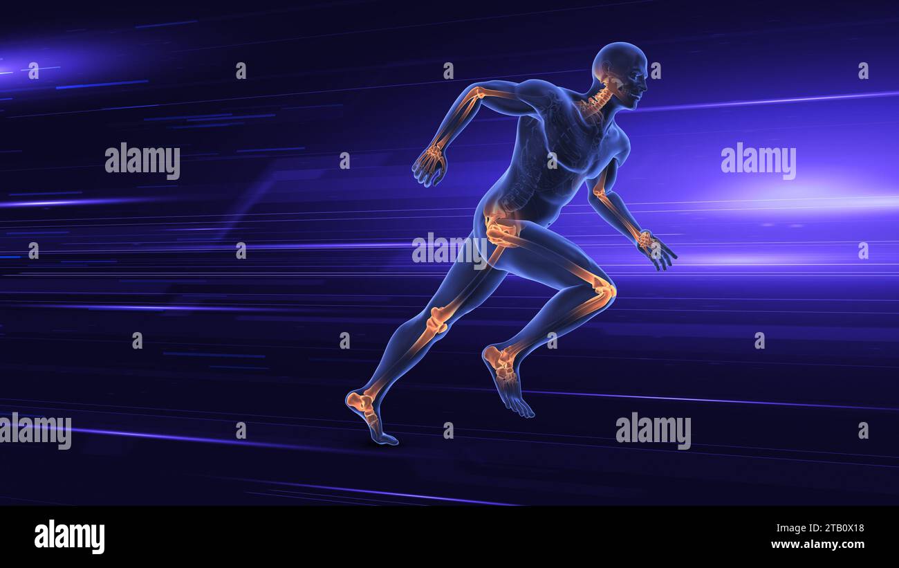 Concept médical articulaire du corps humain Banque D'Images