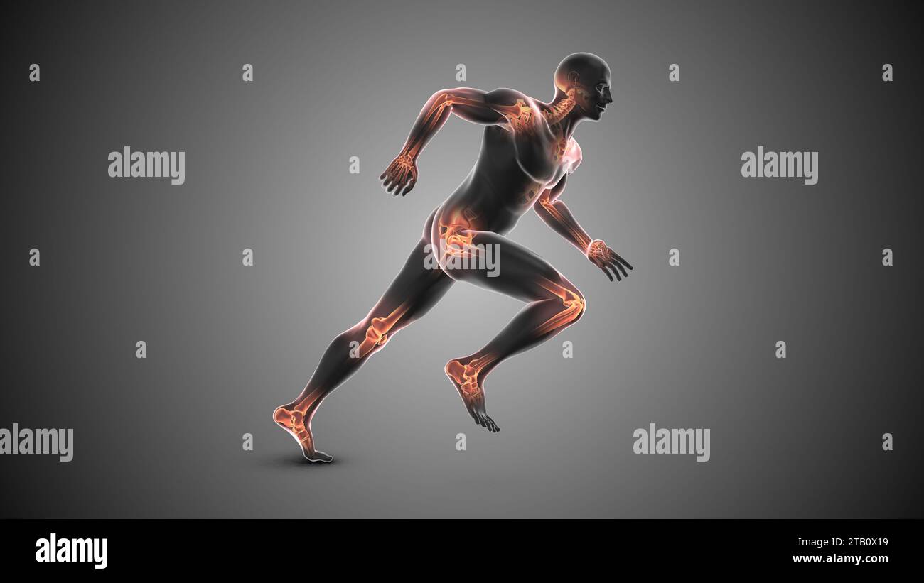 Concept médical des articulations du corps humain Banque D'Images