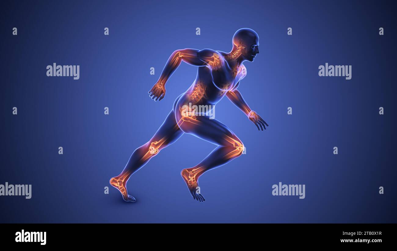 Articulations du corps humain Banque D'Images