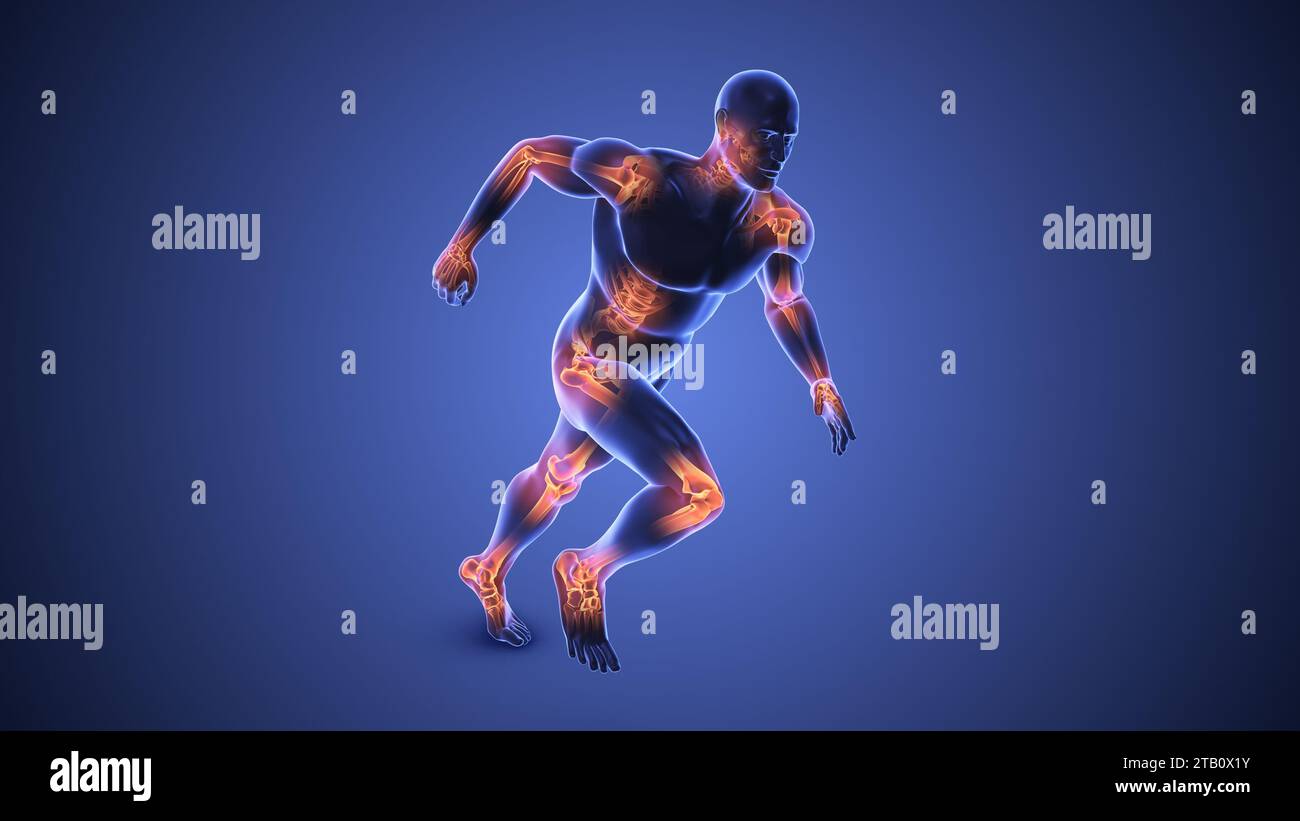 Articulations du corps humain Banque D'Images